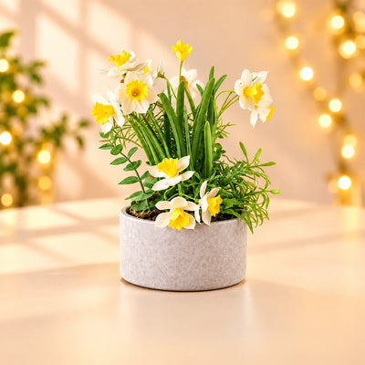 Artificial Plants & Plant Pots