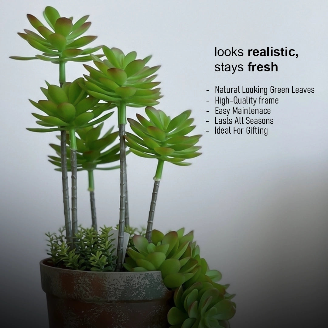 Plastic Succulent With Brick Red Plastic Pot Special Spraying Color Green