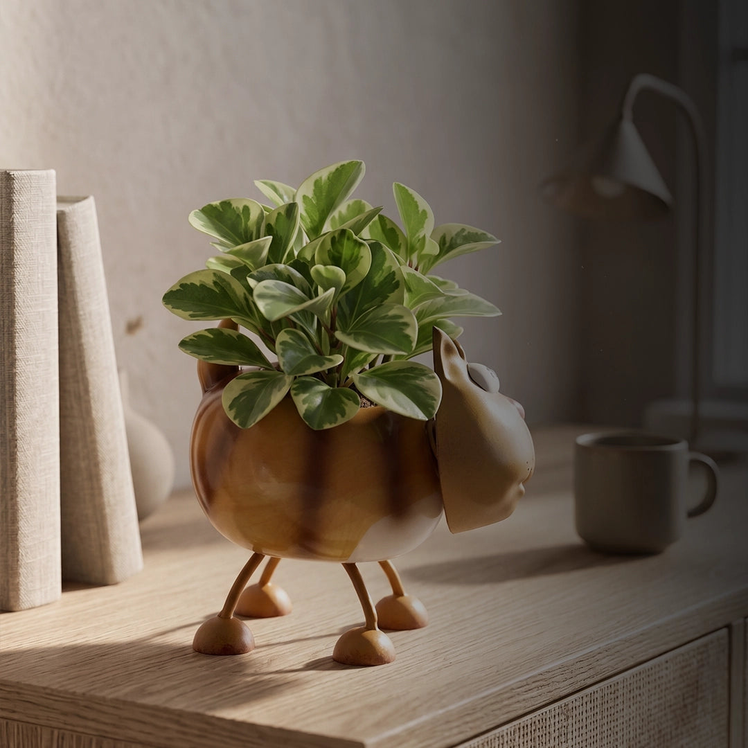 Syso Cute Cartoon Animal Planter Pot