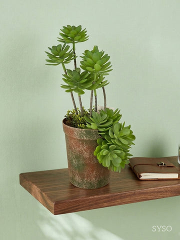 Plastic Succulent With Brick Red Plastic Pot Special Spraying Color Green