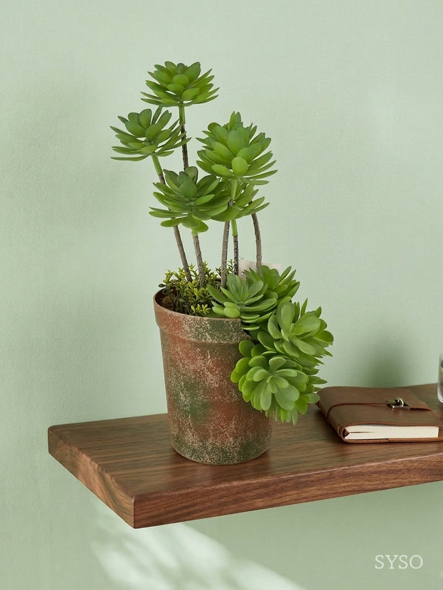 Plastic Succulent With Brick Red Plastic Pot Special Spraying Color Green