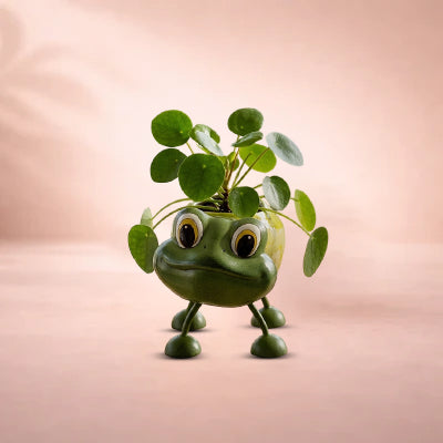 Artificial Plants & Plant Pots