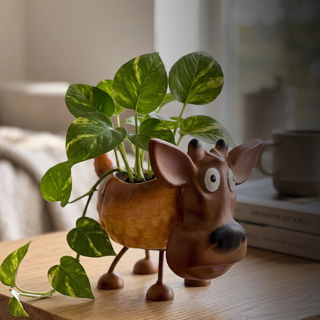 Syso Cute Cartoon Animal Planter Pot