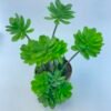 ARTIFICIAL FLOWER
