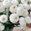 ARTIFICIAL FLOWER