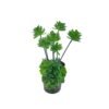 ARTIFICIAL FLOWER
