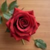 ARTIFICIAL FLOWER SYSOSTORE