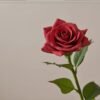 ARTIFICIAL FLOWER SYSOSTORE