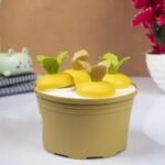 ICE BLOCK MOULD
