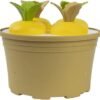 ICE BLOCK MOULD