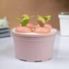 ICE BLOCK MOULD