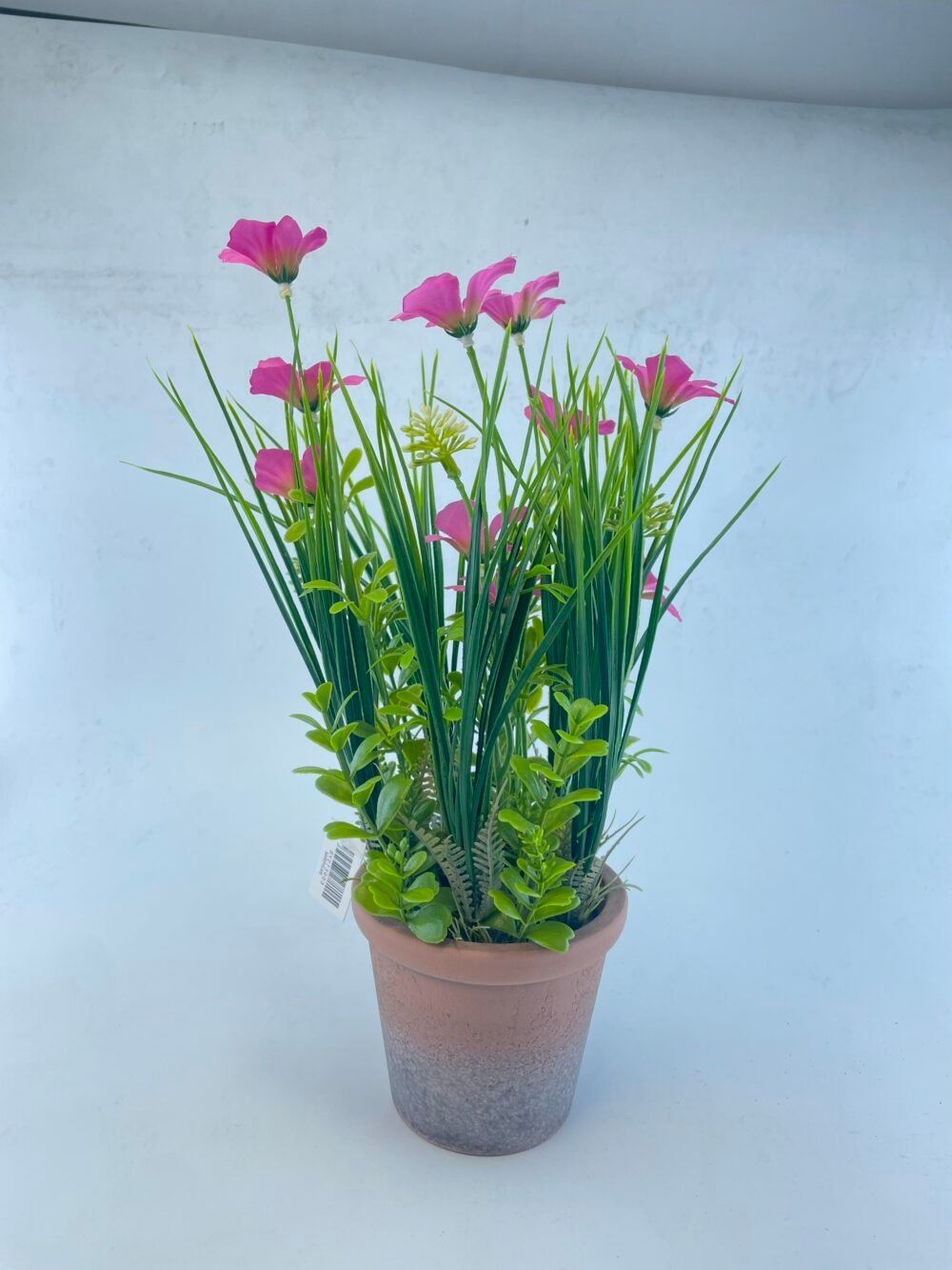 PLASITC FLOWER WITH BRICK-RED PULP POT