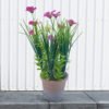 PLASITC FLOWER WITH BRICK-RED PULP POT