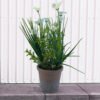 PLASITC FLOWER WITH BRICK-RED PULP POT