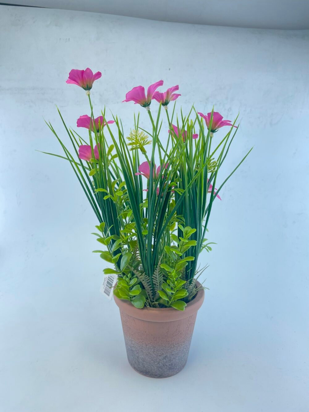 PLASITC FLOWER WITH BRICK-RED PULP POT