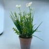 PLASITC FLOWER WITH BRICK-RED PULP POT