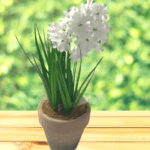 CLOTH FLOWER WITH POT