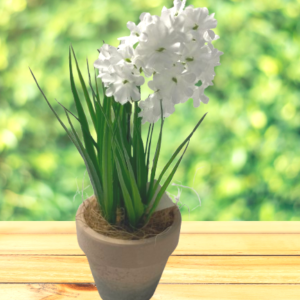 CLOTH FLOWER WITH POT