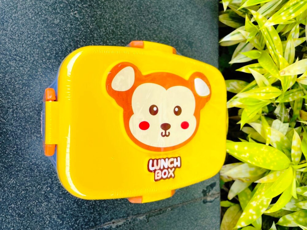 RECTANGULAR LUNCH BOX