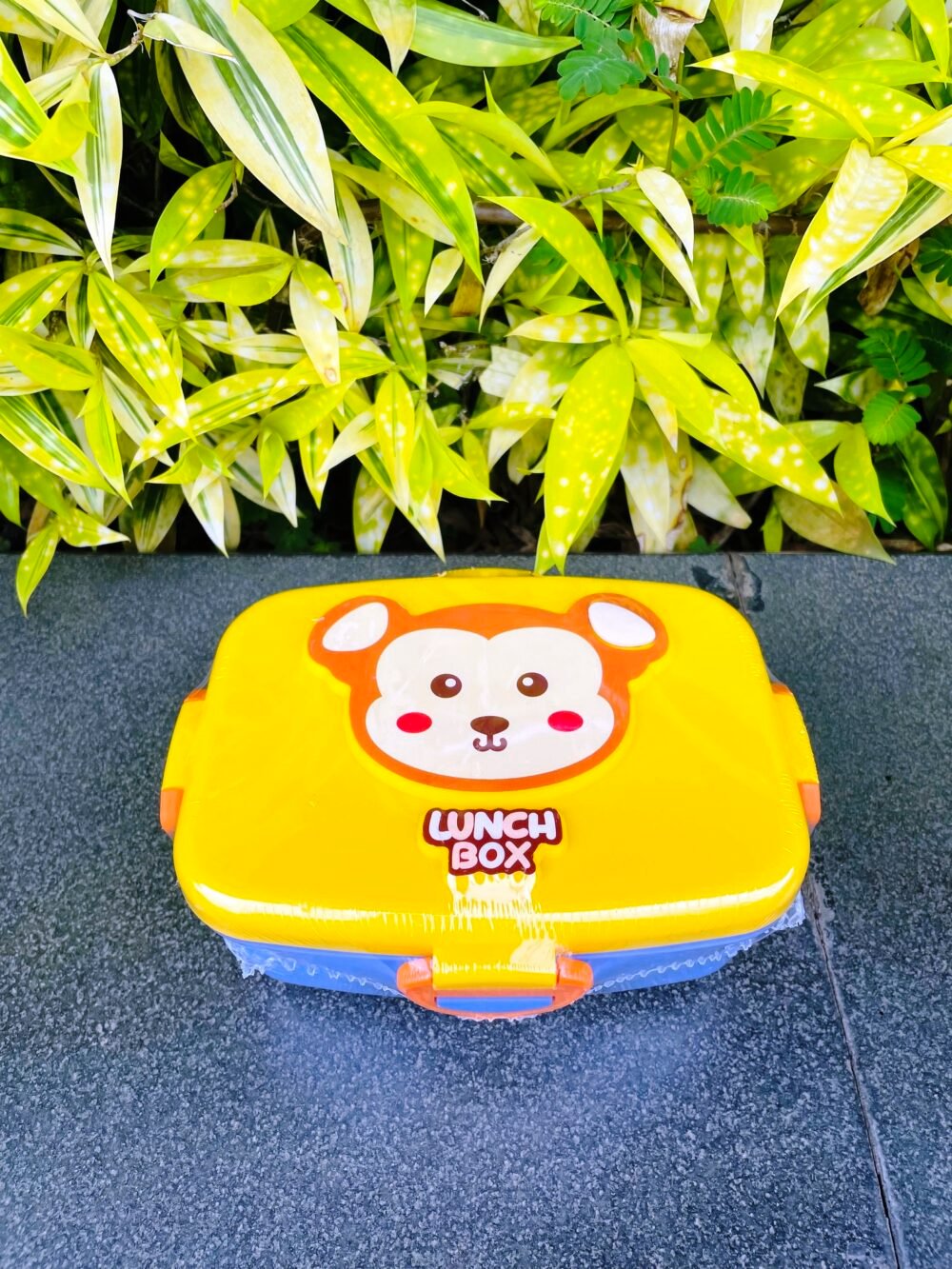 RECTANGULAR LUNCH BOX
