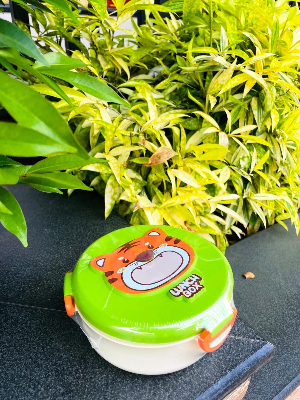 ROUND LUNCH BOX