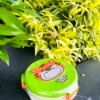 ROUND LUNCH BOX