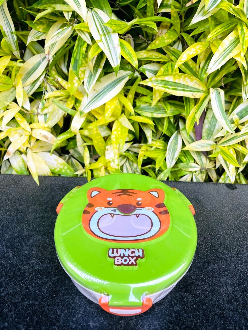 ROUND LUNCH BOX