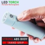 TORCH