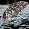 umbrella