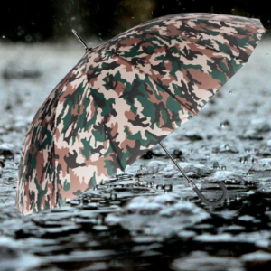 umbrella