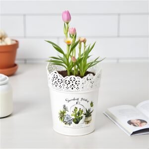 flower potsyso