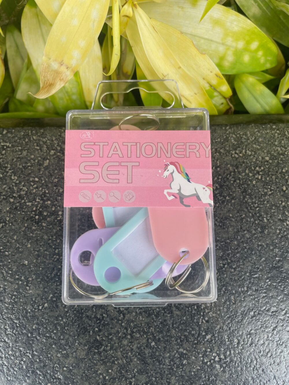Keychain with Name Tag Labels