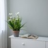 syso flower with pot