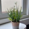 syso flower with pot syso