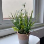 syso flower with pot syso