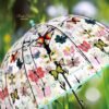 umbrella