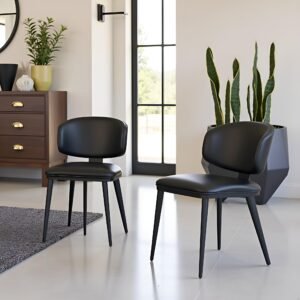 CHAIR'S FURNISO