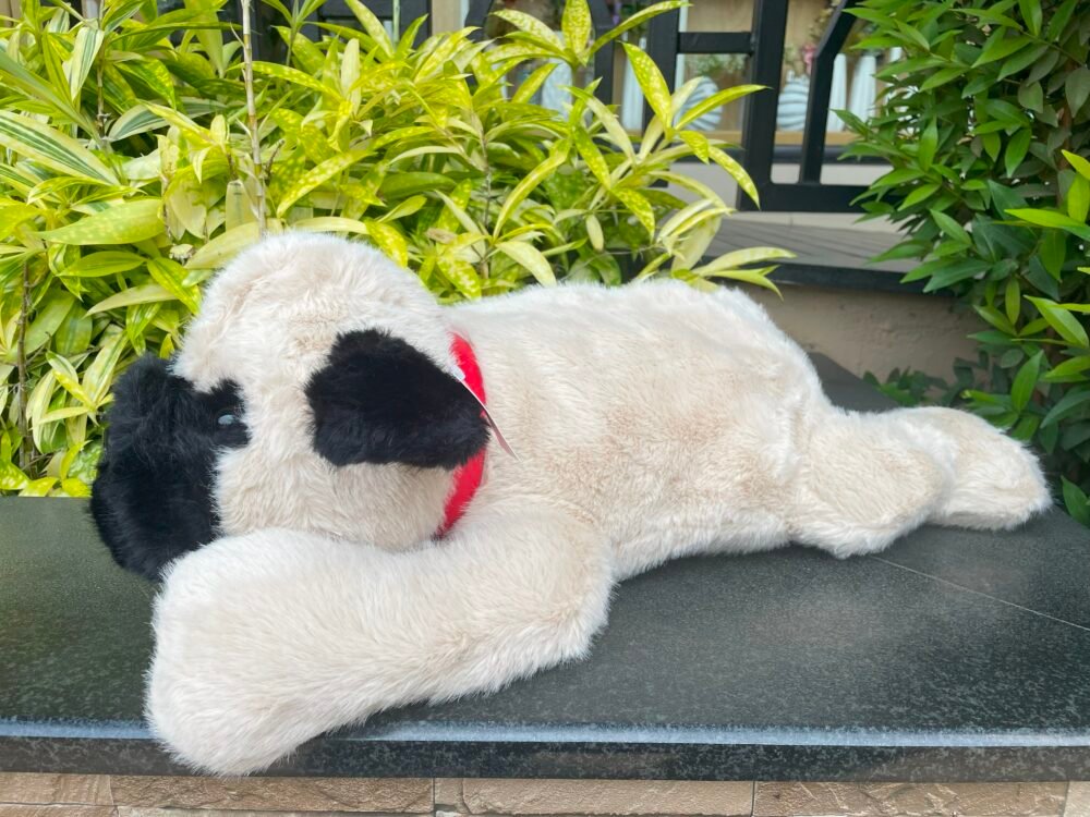 CUSHION