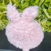 CUSHION