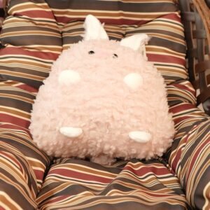 CUSHION