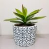 FLOWER POT