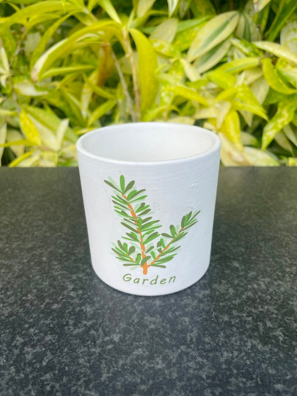 FLOWER POT