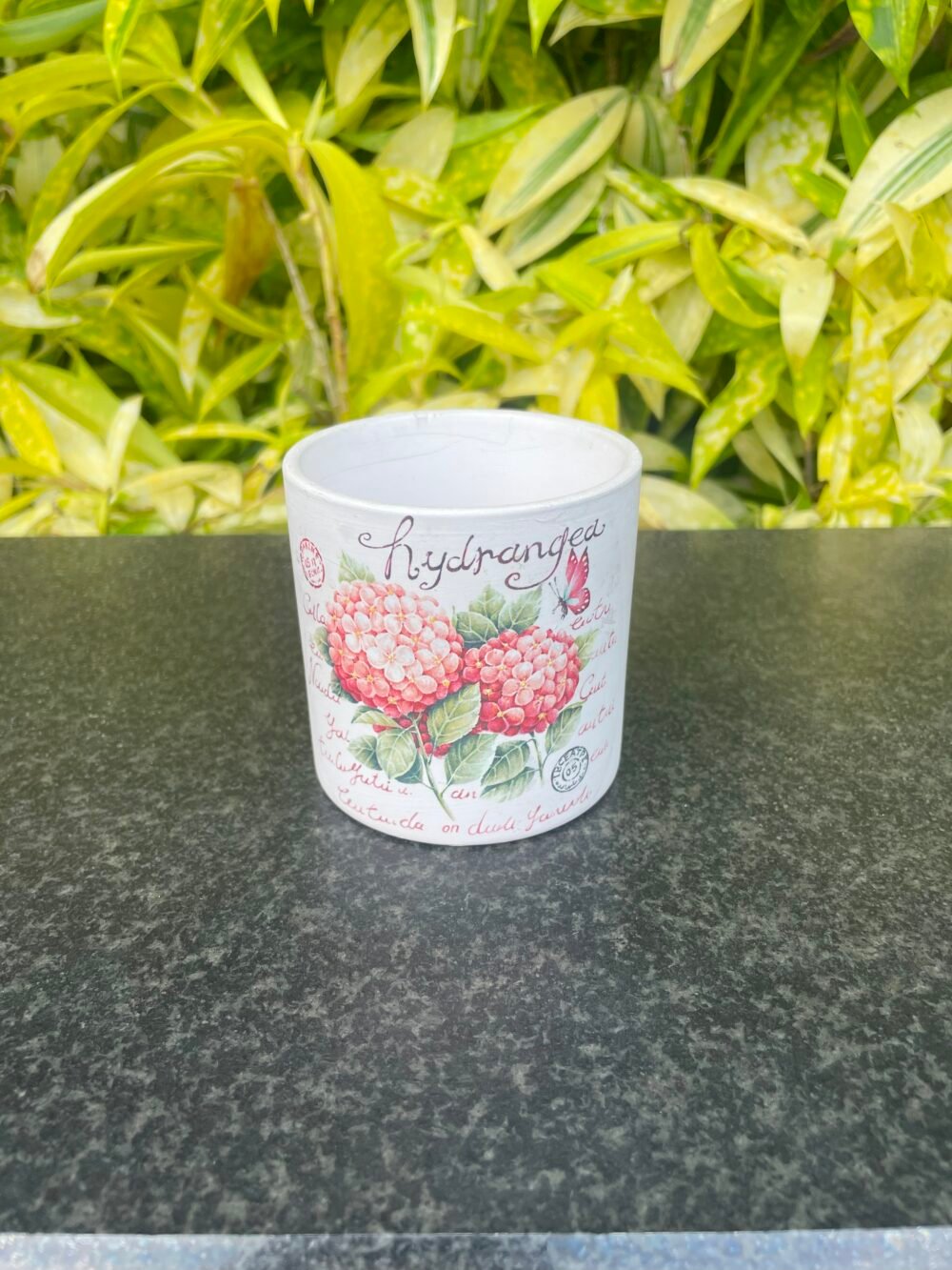 FLOWER POT