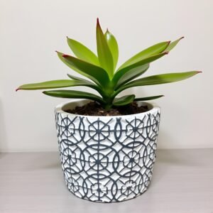 FLOWER POT