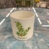 FLOWER POT