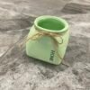 FLOWER POT