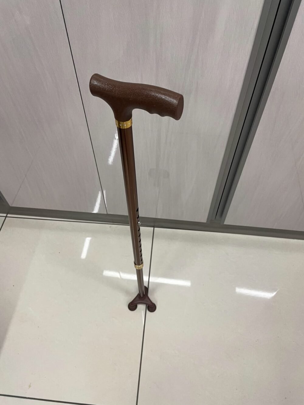 HAND STICK