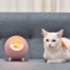 VARIETY NIGHT LAMP CAT