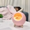 VARIETY NIGHT LAMP CAT