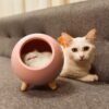 VARIETY NIGHT LAMP CAT
